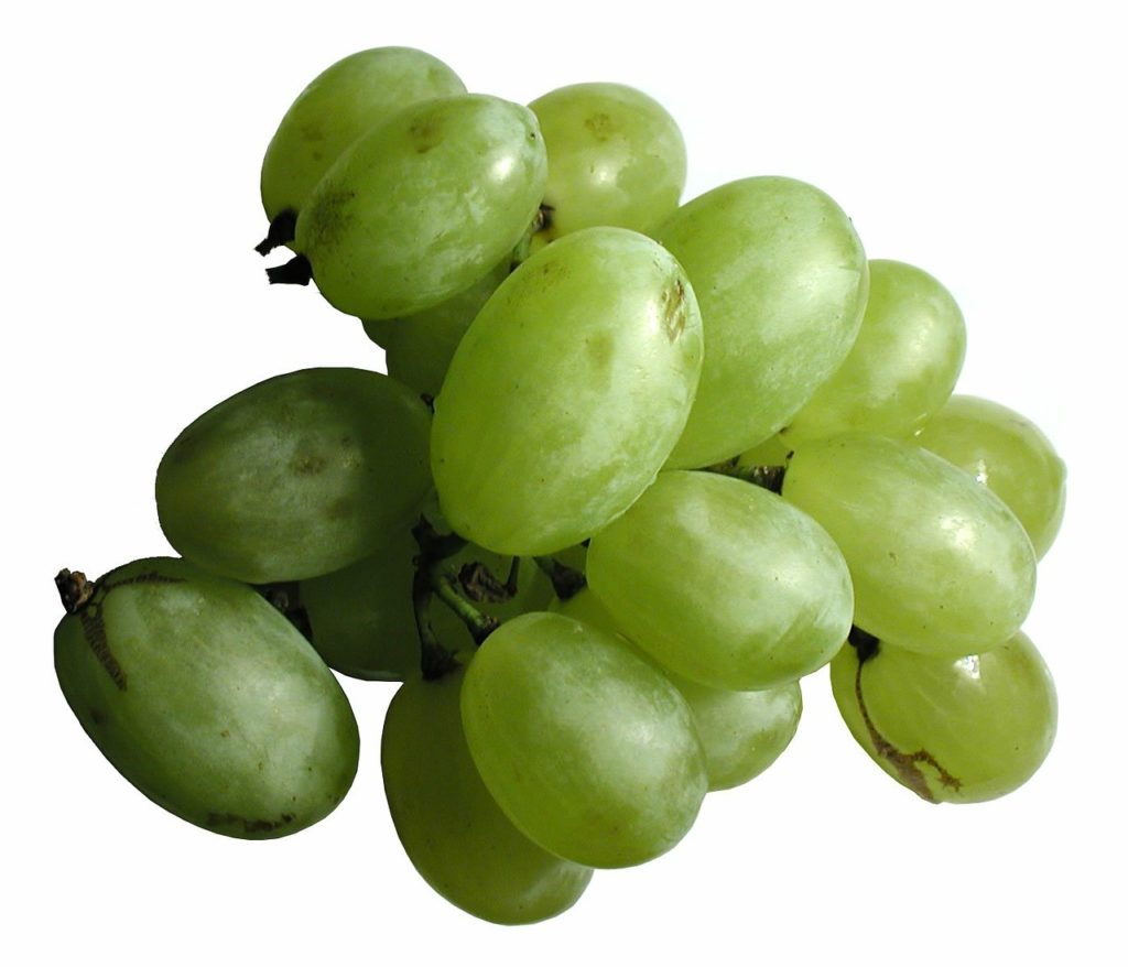 grapes, white, green