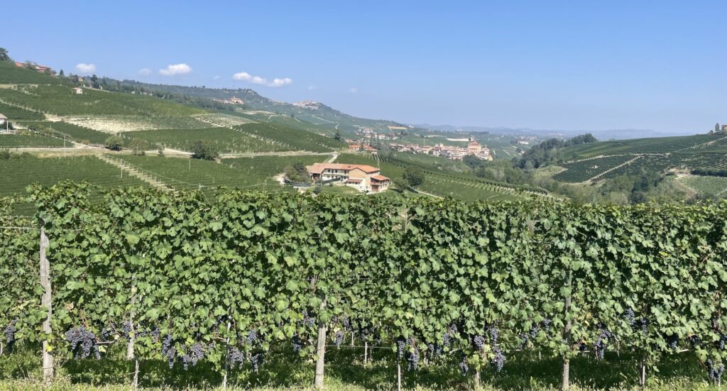 Barolo italy piedmont