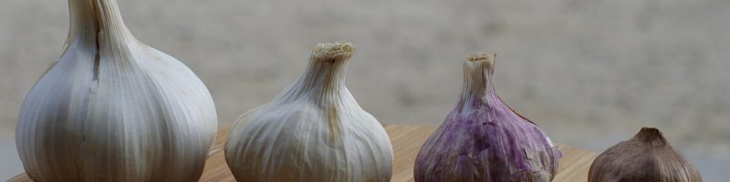 cultivated garlic, mac wallpaper, free wallpaper-3164795.jpg