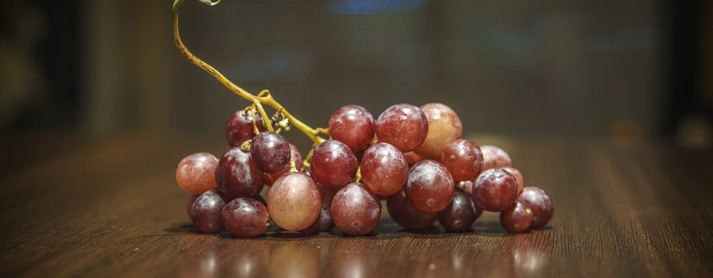 grape, fruit, vine-3664806.jpg