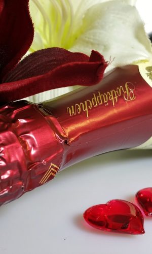 sparkling wine, red riding hood, laptop wallpaper-635539.jpg