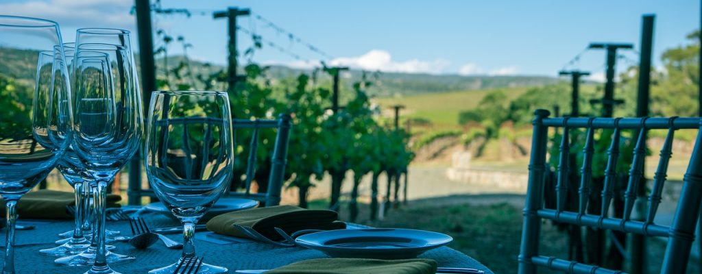 wine, napa valley, vineyard
